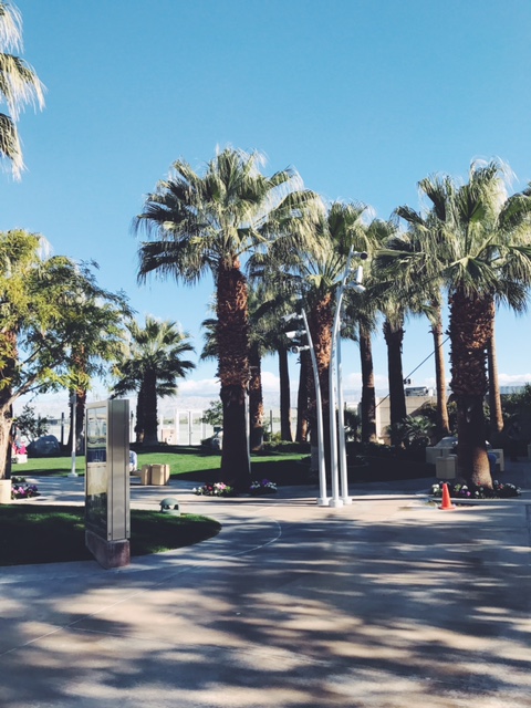 Processed with VSCO with f2 preset