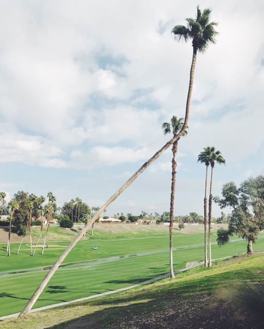 Processed with VSCO with f2 preset