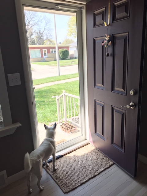 Processed with VSCO with f2 preset