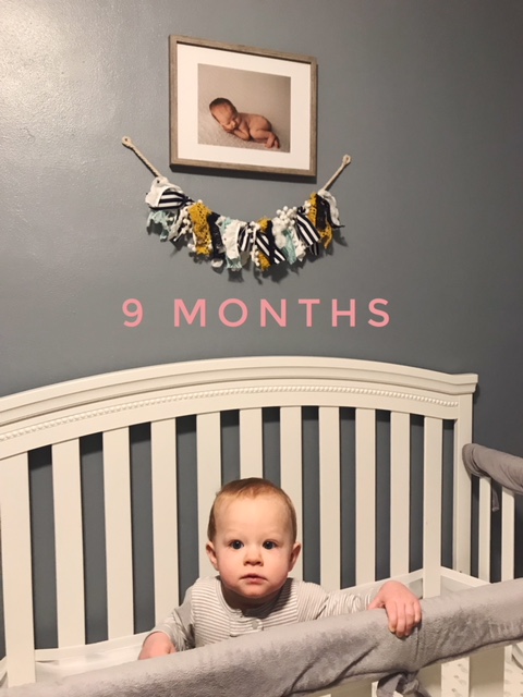 Processed with VSCO with f2 preset